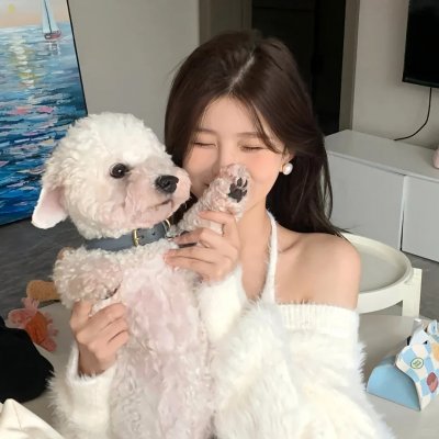 抢劫梦想终成真